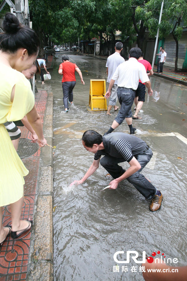 臺風過后廈門城區積水 市民“渾水摸魚”收獲豐