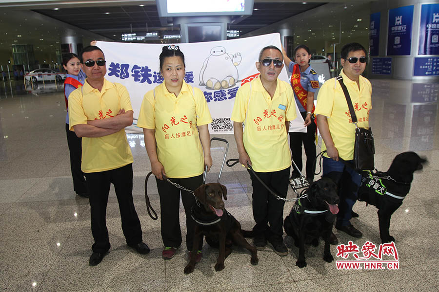 他們此次攜帶的導(dǎo)盲犬名字分別叫A米、戴安娜、凱西，A米是鄭州市第一條導(dǎo)盲犬。