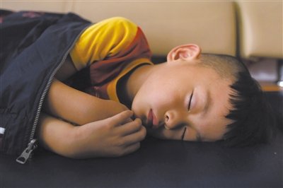 9月6日，等待錄制節(jié)目的多多躺在沙發(fā)上熟睡。新京報(bào)記者 侯少卿 攝