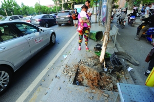 幸虧轎車撞到香樟樹上停了下來,否則后果更嚴重。