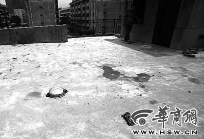 藏獒就養在這個樓頂，孩子從欄桿處墜落 本報記者 趙航 攝