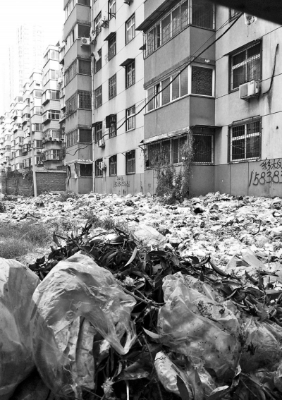 透過擋板縫向內看，30多米垃圾已經(jīng)將居民樓包圍。