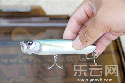 　　又稱擬餌釣魚,起源于歐洲,國內翻譯為“路亞”。