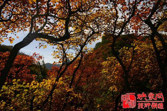 2013第七屆中國·邢臺九龍峽金秋紅葉節