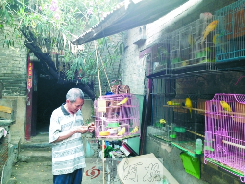 郭家大院的看護(hù)人郭天育老人在給鸚鵡喂食，對(duì)大院，他很不舍。
