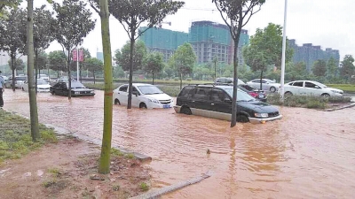昨日，信陽突降暴雨，路面積水已淹沒輪胎。首席記者 何正權 通訊員 楊小燕 攝影