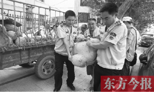 昨日，鄭州金水區執法局的執法隊員捐錢買瓜，替瓜農解憂
