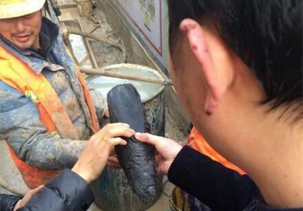 武漢地鐵施工現場挖出疑似天價烏木