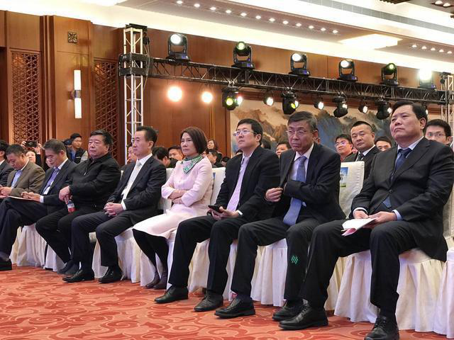 董明珠在現場演講時表示，她愿意拿她所有的資產投入到珠海銀隆里。據悉，同時與珠海銀隆原始股東共同簽署增資協議的，還有董明珠個人及北京燕趙匯金國際投資有限責任公司、大連萬達集團股份有限公司、江蘇京東邦能投資管理有限公司等3家知名企業，5家單位或個人共同增資30億，獲得珠海銀隆22.388%的股權。
