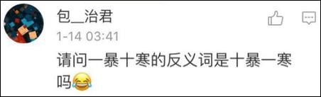 鶴立雞群？雞立鶴群！