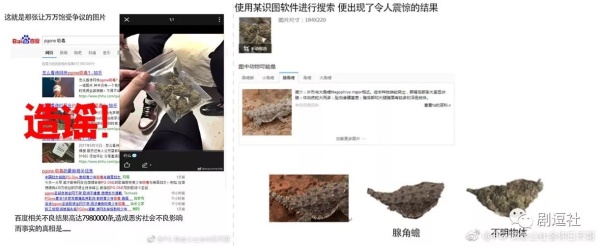 PGone又教給我們一個新詞：虐粉。