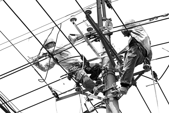 昨日中午，安陽市供電公司配電運(yùn)維專業(yè)團(tuán)隊(duì)的工作人員在維修線路