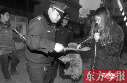 12月3日早上6點(diǎn)半，鄭州市南關(guān)街熊兒河旁，南關(guān)街辦事處的執(zhí)法人員對(duì)狗進(jìn)行排查
