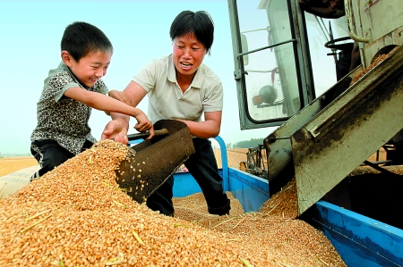5月27日，確山縣劉店鎮(zhèn)前槽村郭景蓮和小孫子一起收獲小麥，豐收的喜悅寫在了臉上。