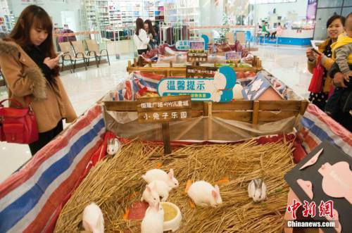 廣西多家商場在大廳圈養動物招攬顧客