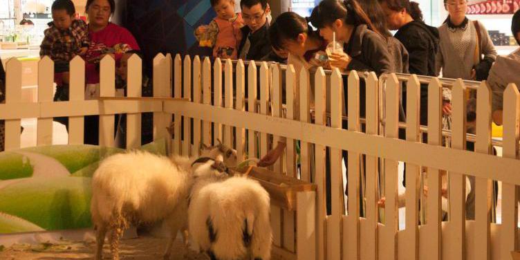 廣西多家商場在大廳圈養動物招攬顧客