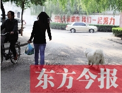 啟明一巷內，一名女子帶著狗狗去買菜。狗隨地大小便，狗的主人未制止