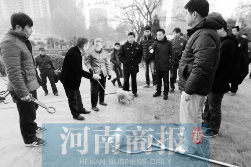 一只辦過狗證的小白狗，因為沒有拴犬鏈，被執(zhí)法人員暫扣