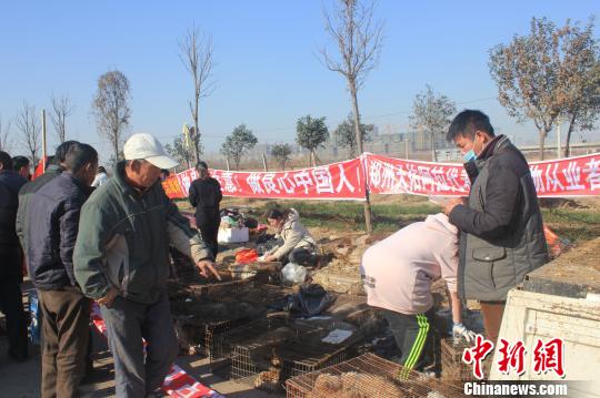 圖為百余名愛狗人士把老李的貨車攔截，數(shù)十人正在從貨車上卸下裝滿狗的鐵籠。　馬義恒　攝