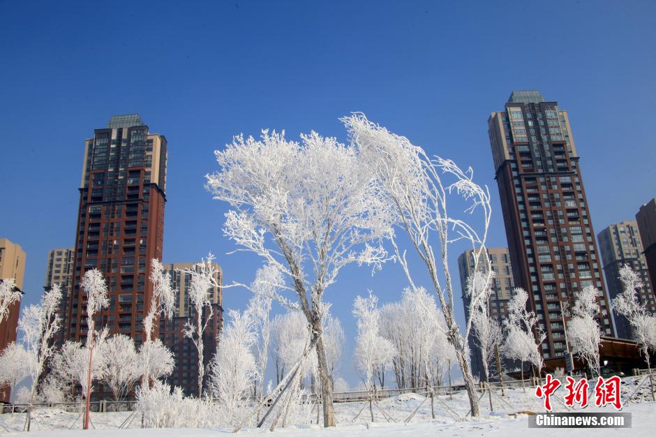 吉林省吉林市松花江畔出現霧凇美景