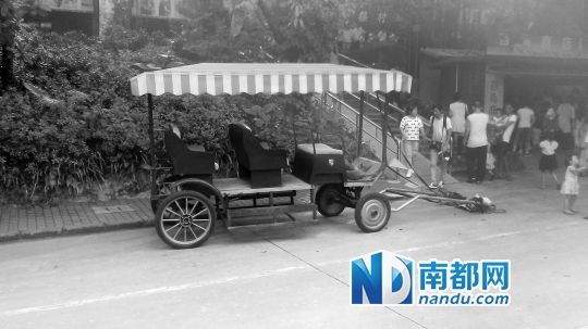 園方則稱解剖后發現馬死于心臟衰竭，“與累無關”。