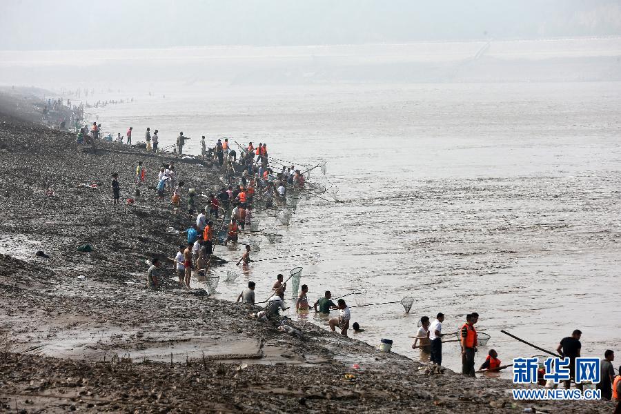 7月6日,在山西省平陸縣黃河岸邊,人們在河邊捕撈黃河“流魚”。