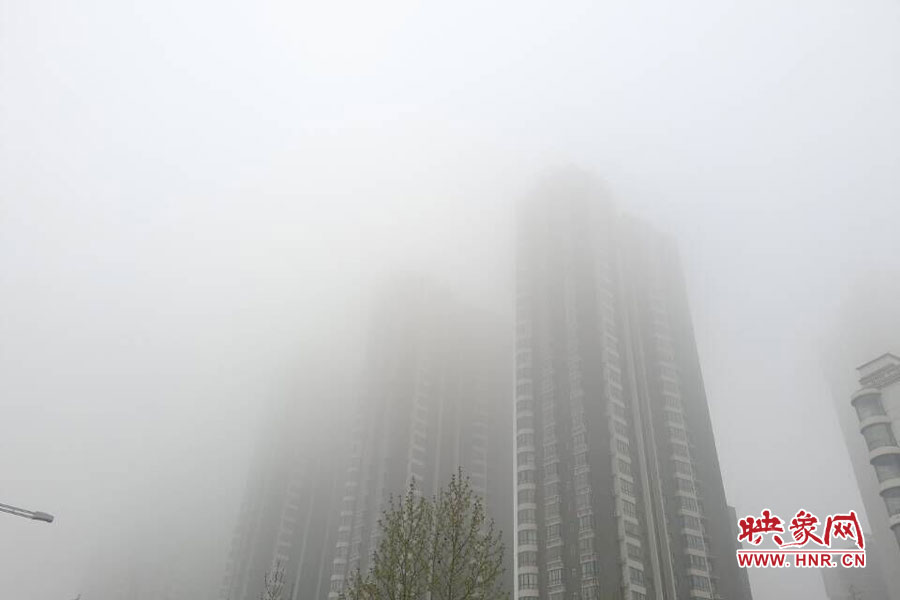 鄭州現大霧天氣，宛若仙境