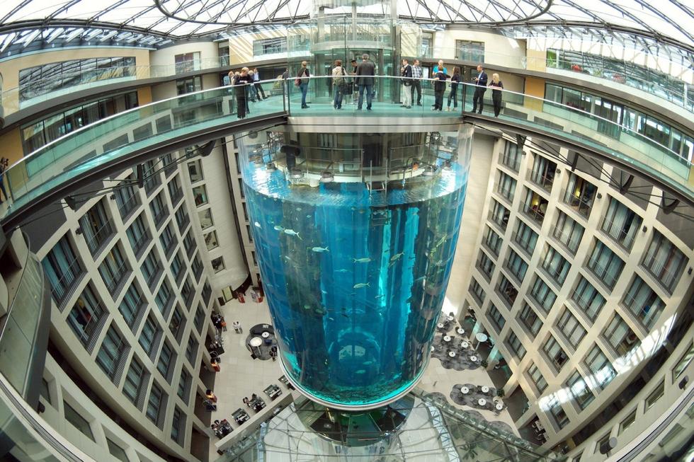 在圓柱水族館主體下方，還有一些別的展館。