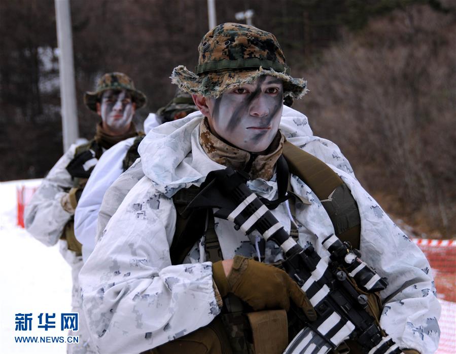 韓美舉行極寒雪地聯合訓練(高清組圖)