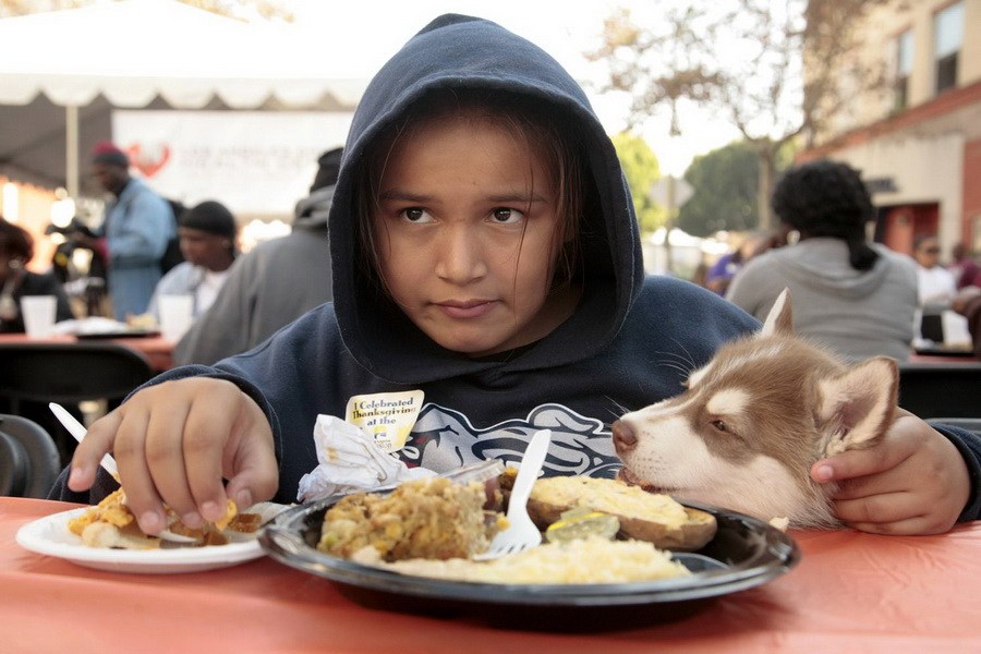 11月21日，加州洛杉磯的游民巷，12歲的堂娜·赫南德茲抱著愛犬“湯米”，安靜地吃著免費的感恩節飯菜