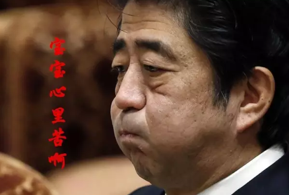 這種看安倍“熱鬧”的事兒，環(huán)環(huán)絕不私藏，一定雨露均沾!