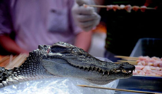 沈陽現“烤鱷魚肉”20元一串現烤現賣(圖)
