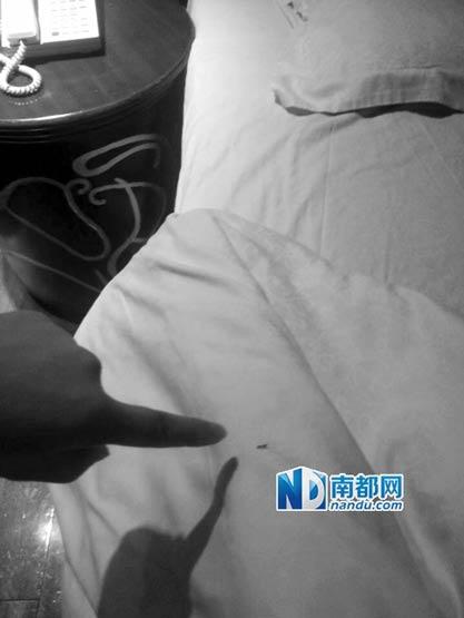 女子住四星酒店被蟲(chóng)咬索賠遭拒 酒店：蟲(chóng)子沒(méi)毒