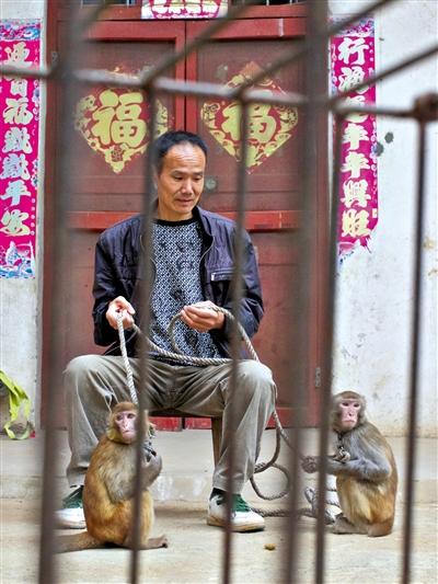 10月13日，耍猴人鮑慶山牽著從牡丹江帶回的兩只小猴在家門口玩耍。