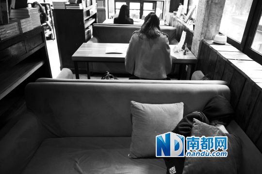 12月12日上午，不打烊書店里，12歲的楊東吃完午飯后抱著抱枕蜷在沙發里睡覺。