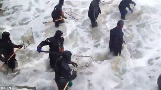 當地居民沖入海中，用網兜打撈琥珀。（圖片來源：《每日郵報》）