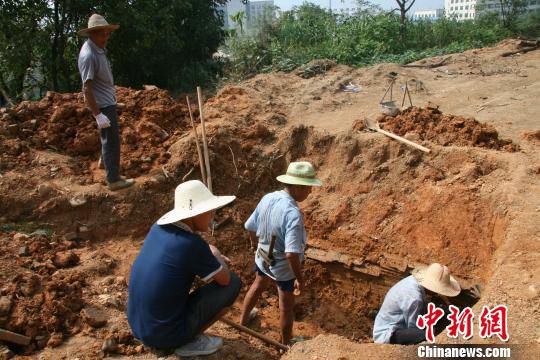 巖橋村廟山地區考古現場。　桐廬文管辦　攝