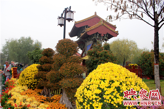 天好、花美 中國開封第32屆菊花文化節延長一周