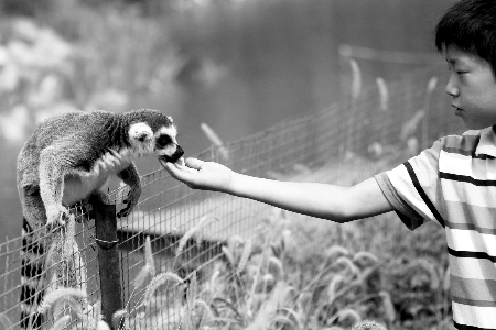 豫學生拿高考準考證半價游動物園