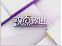 《觀點致勝》20130106