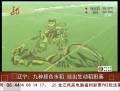 遼寧農民用九種顏色水稻繪哪吒鬧海