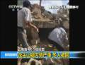 地震遇難人數上升至391人
