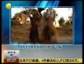 呼吁節(jié)約用水  美國(guó)男子挑戰(zhàn)“泥桶”