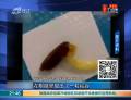 老農眼睛流膿 稻谷竟在眼里發芽