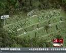 “垃圾場(chǎng)”拍婚紗：玩噱頭還是做環(huán)保？