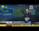 爽??！國足出線后還有驚喜 張稀哲狼堡首秀獻助攻