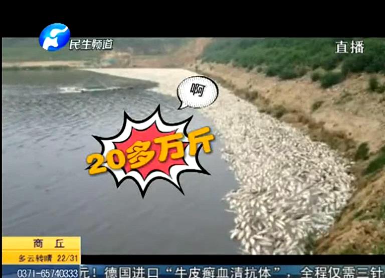 20萬斤魚翻肚因缺氧？