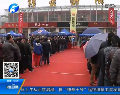 倡導文明行車 免費發放私家車專屬車標