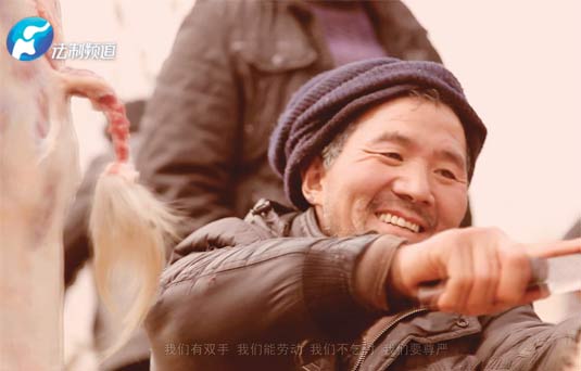 法制頻道啟動“愛心豬”公益項(xiàng)目