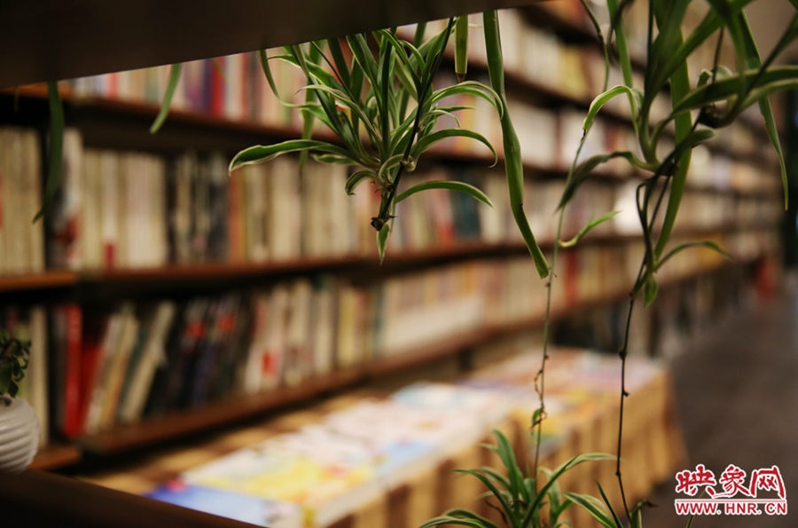 書店內的裝飾。